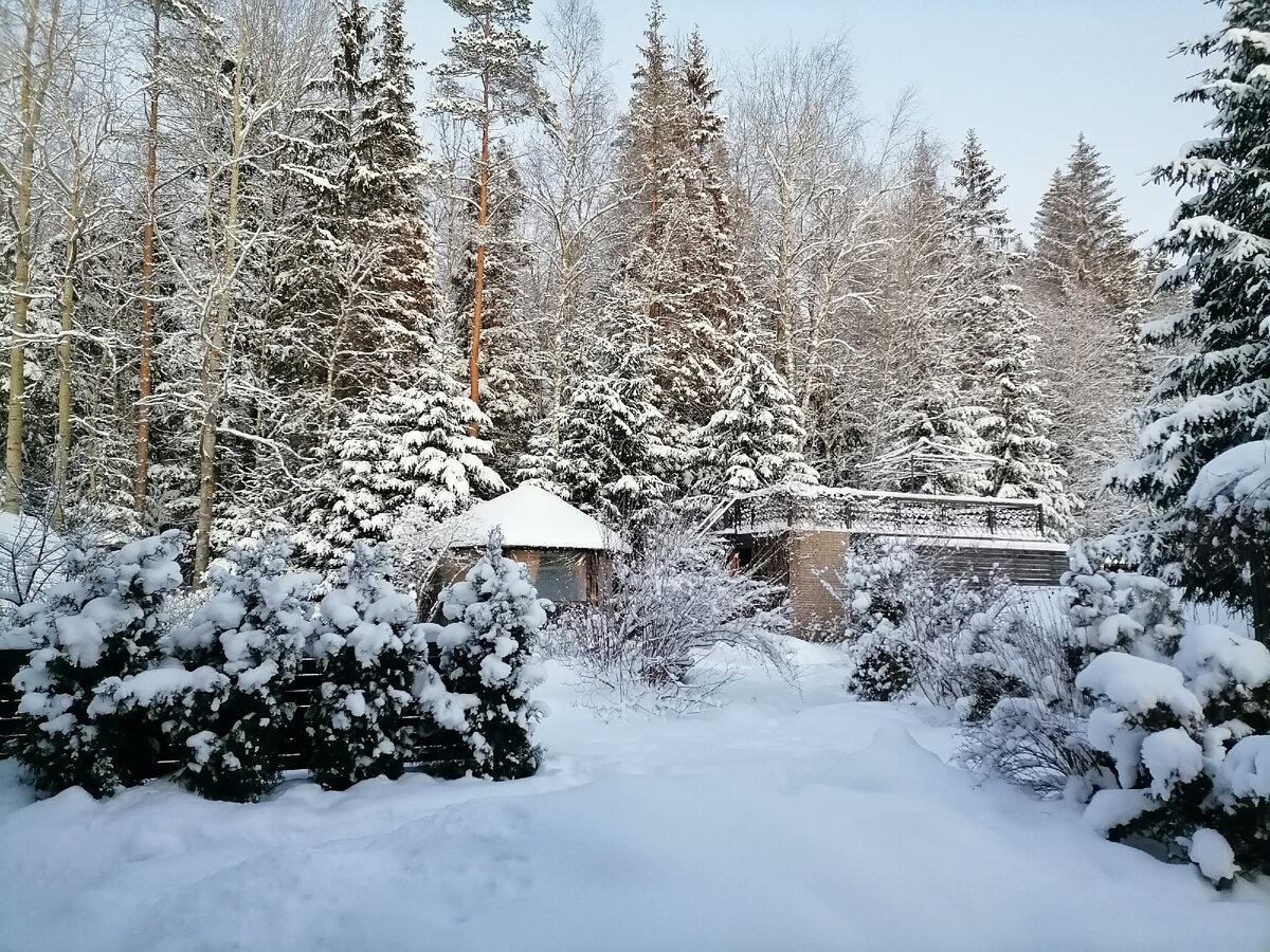 У нас за городом такая шикарная зима!