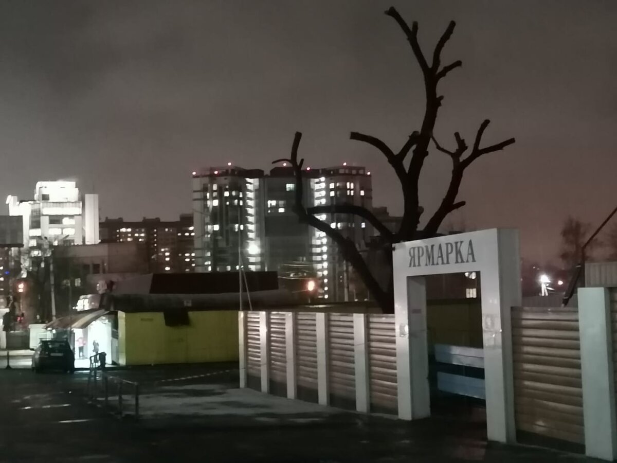 В сумерках город блистал огнями. Фото автора канала