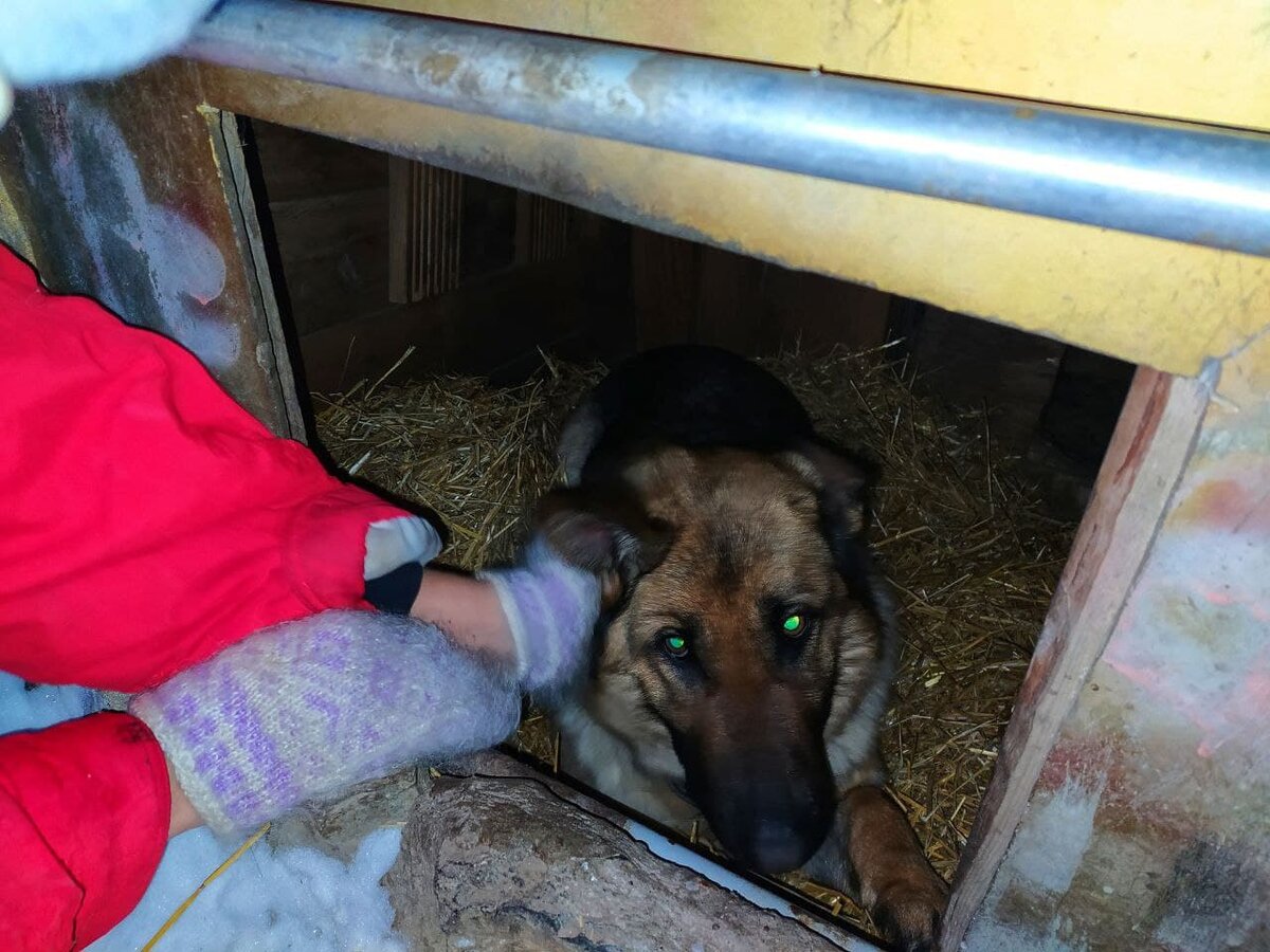 Та самая будка