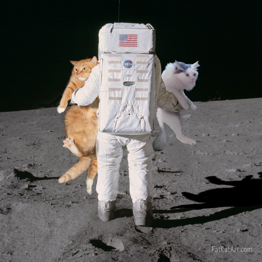 Луна — родина котов. Источник: https://fatcatart.com/2020/09/cats-on-moon/?lang=en 