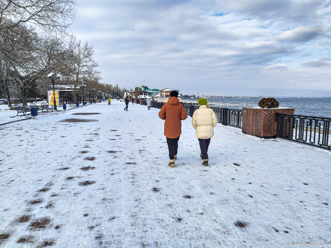 Феодосия в снегу, лебеди в заливе и новый облик дома Айвазовского | Дневник  отчаянных пенсионеров | Дзен