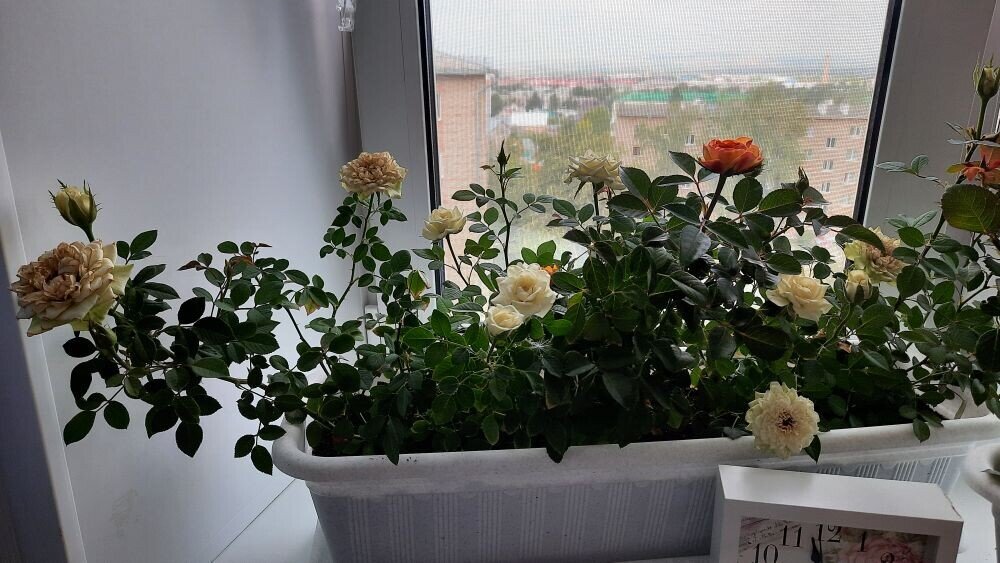 Фото из личного архива