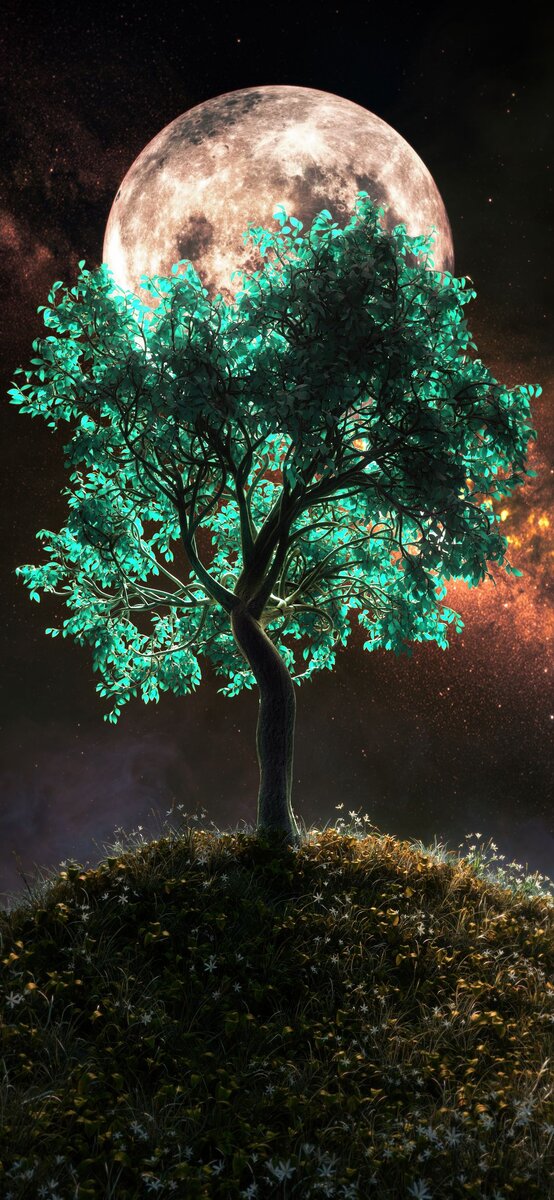 Свет светит во тьме, и тьма не объяла его.