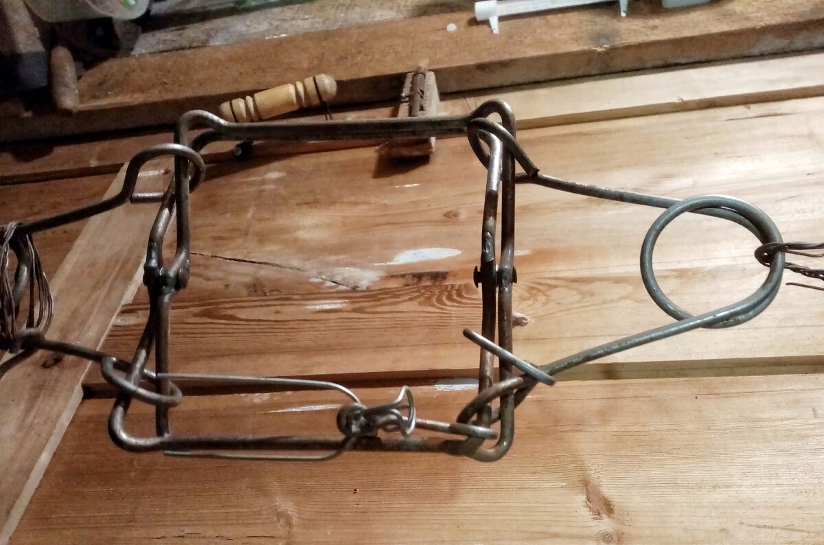 Современный гуманный капкан КП-120