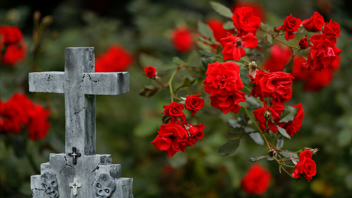 Розы и крест