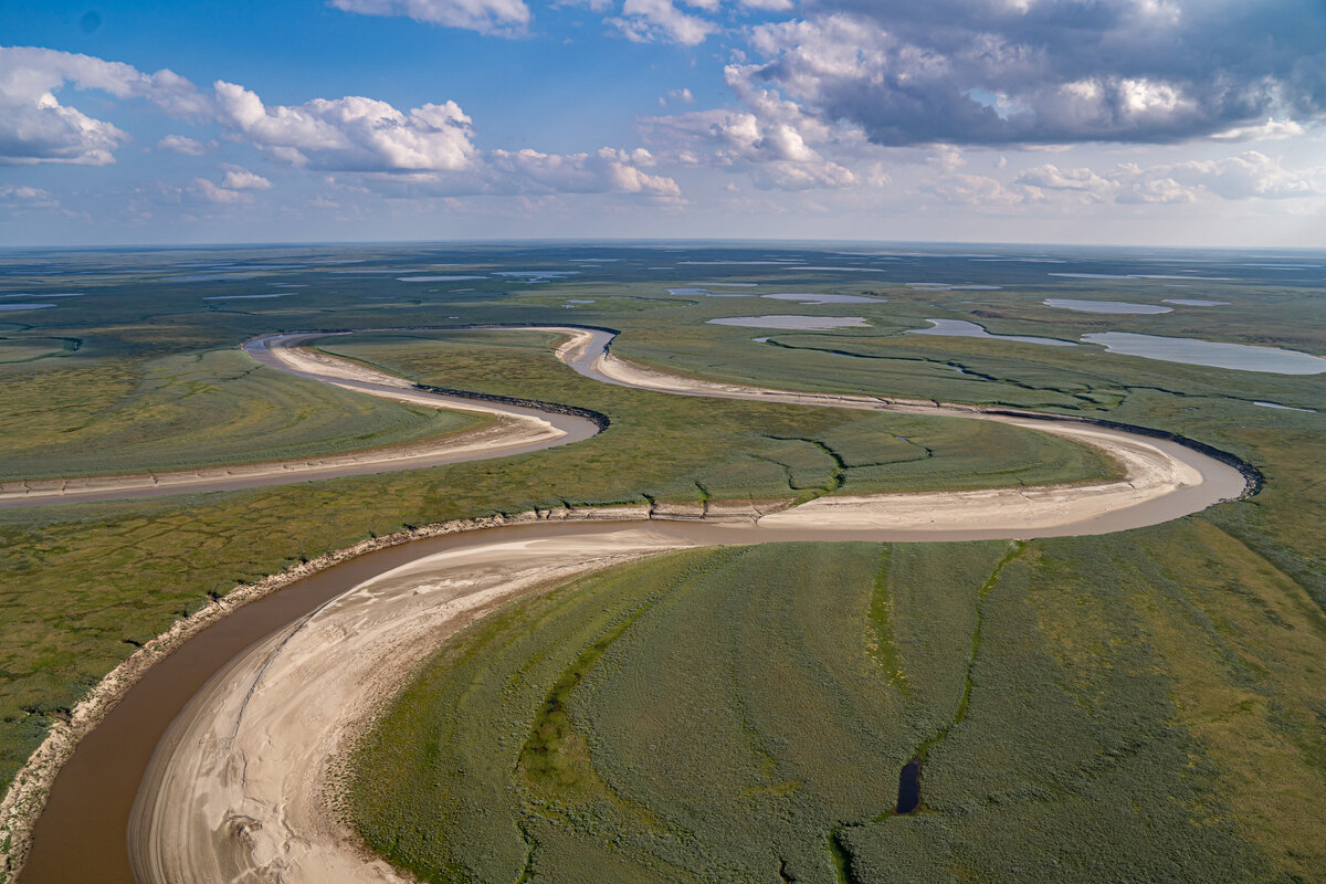 Причудливые изгибы рек в тундре