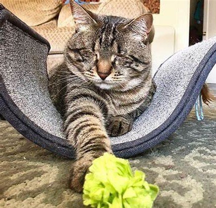 Фото из Интернета