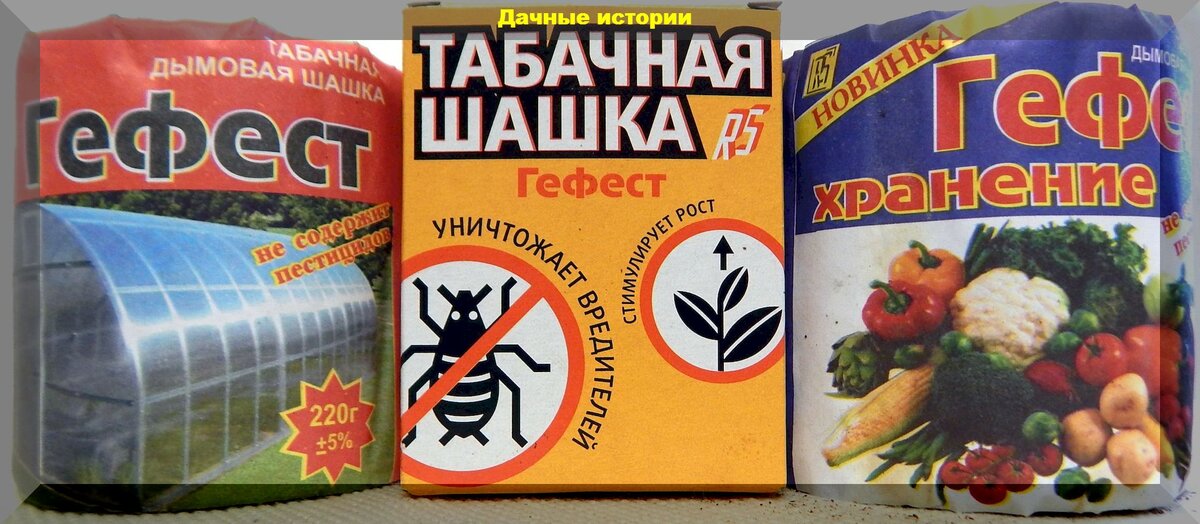 https://vk.com/photo-159774511_457253315