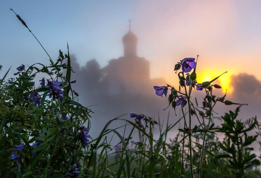 Фото взято из открытых источников