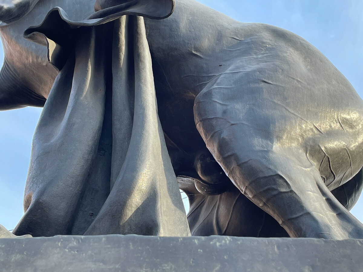 ...обычные гениталии