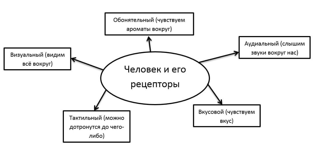 Составление схемы по тексту, используя вставку фигур