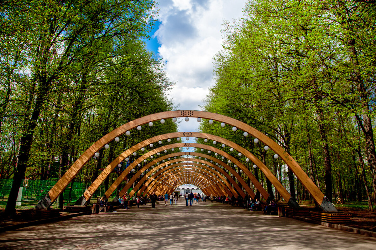 сокольнический парк москва