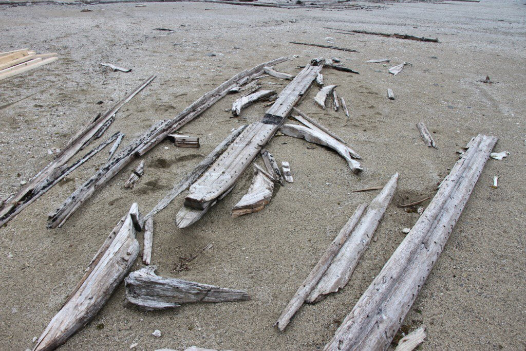 Фото: ФГБУ "Национальный парк "Русская Арктика"