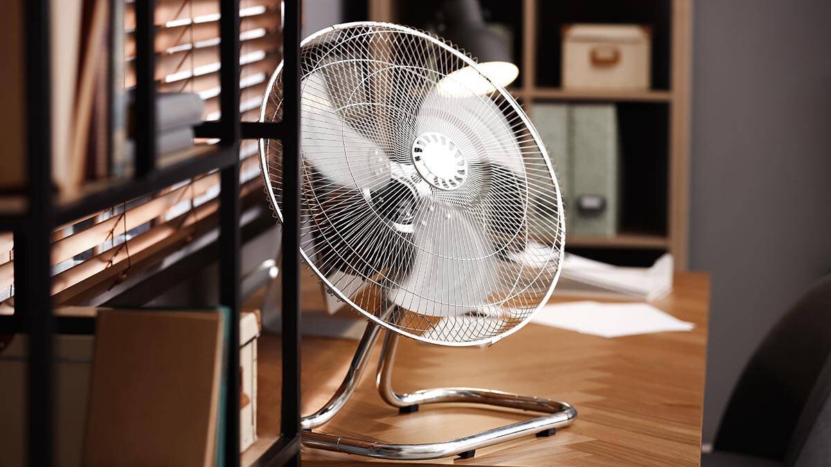    Фото: shutterstock