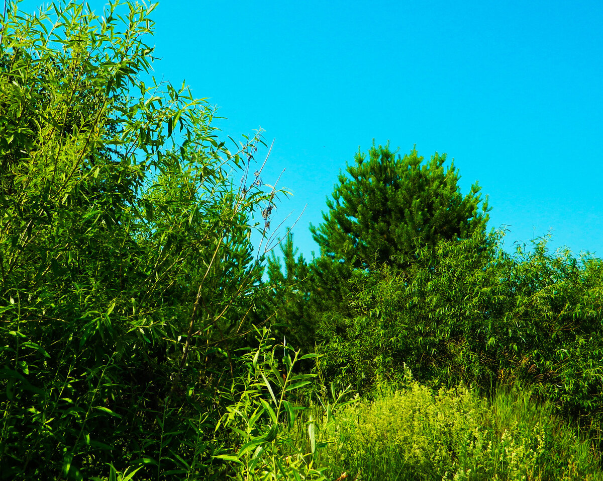 фото автора канала 