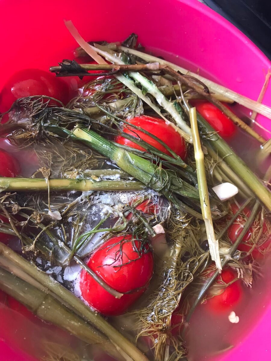 Кулинарная школа "Мир Ануш"