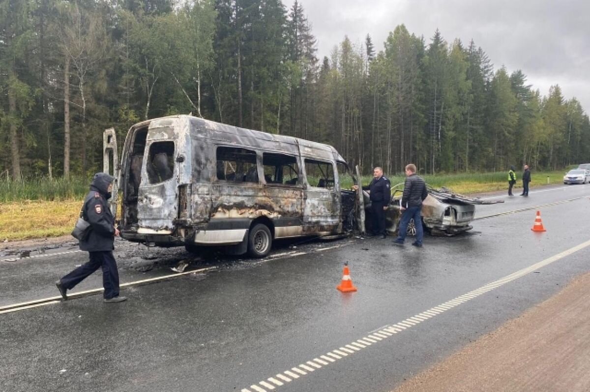    Два человека погибли в ДТП с микроавтобусом под Псковом