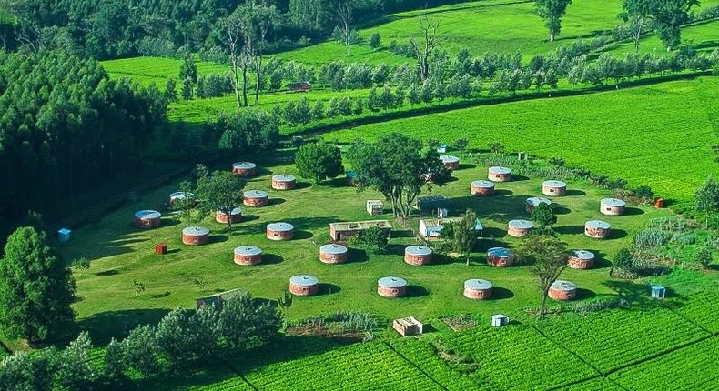 Пасторальный кенийский чайный пейзаж. Но внутри там эксплуатация. africa.businessinsider.com