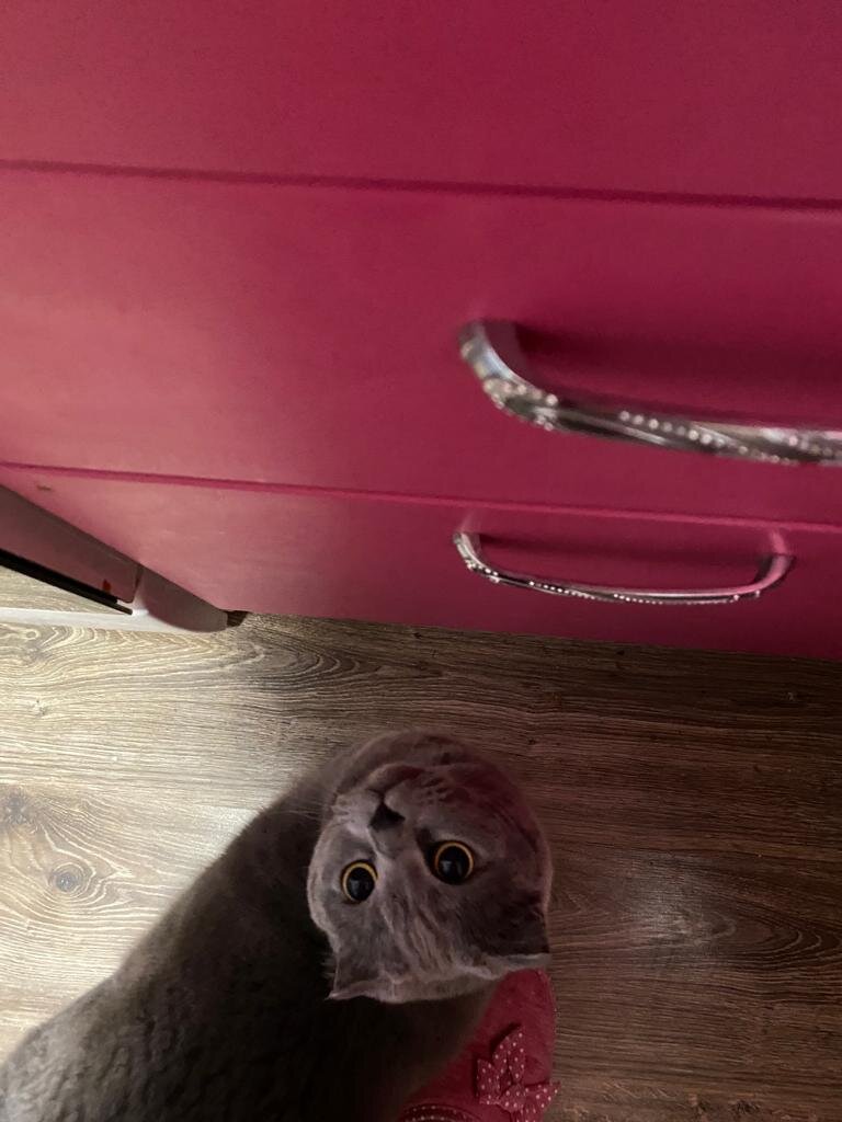 Один наглый попрошайка