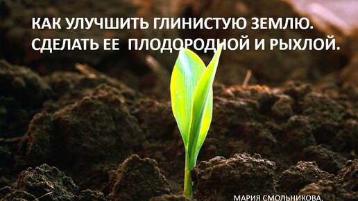 Как улучшить глинистую землю. Сделать ее плодородной и рыхлой.