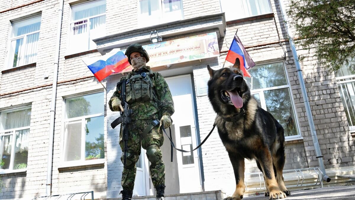    Сапер Международного противоминного центра ВС РФ со служебной собакой у школы №60 в Мариуполе© РИА Новости / Илья Питалев