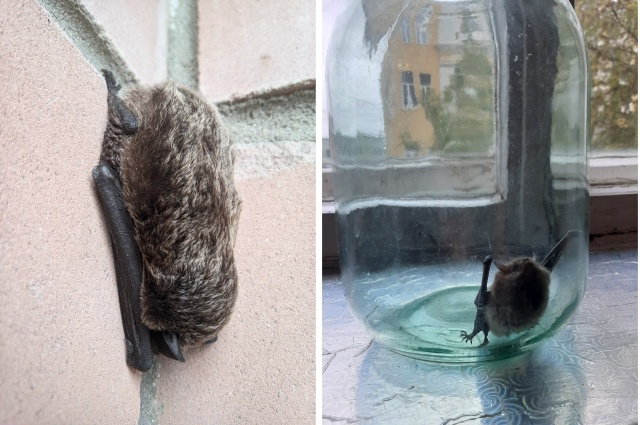    Фото: Из архива/ группа Вк