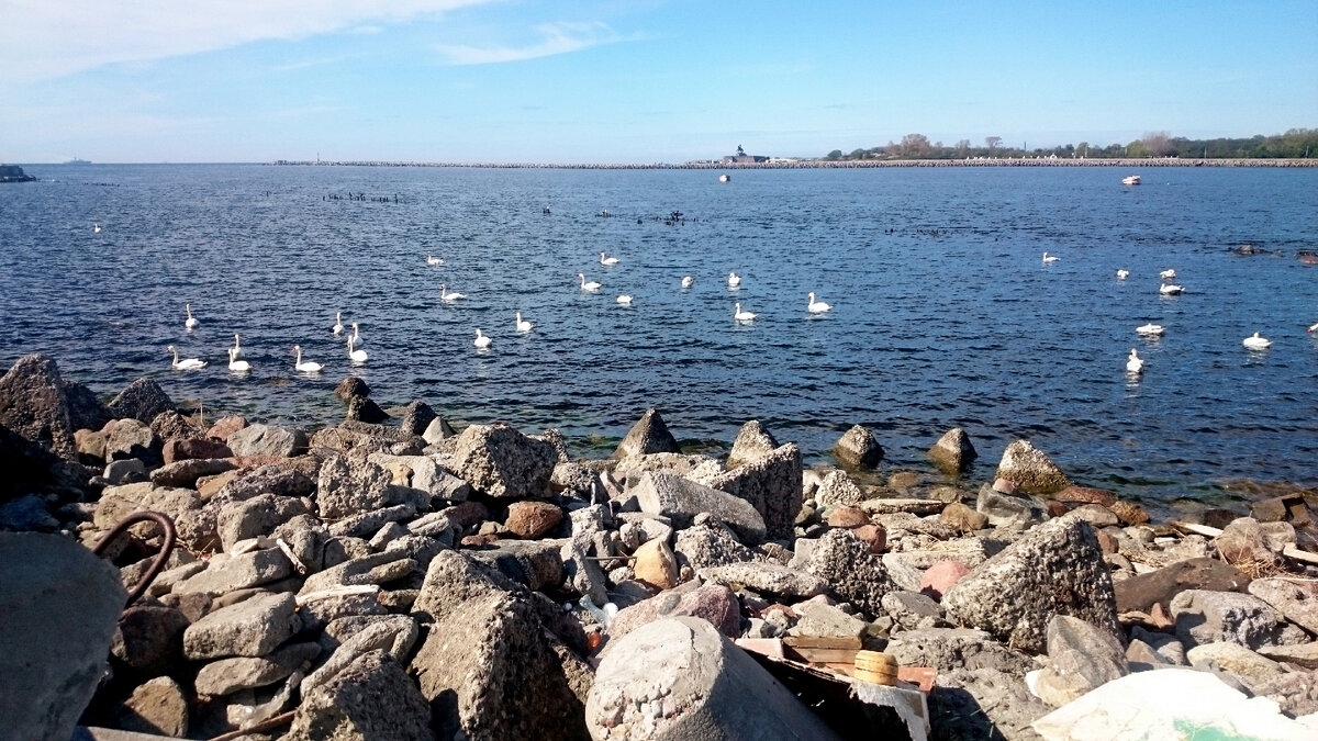 Фото автора