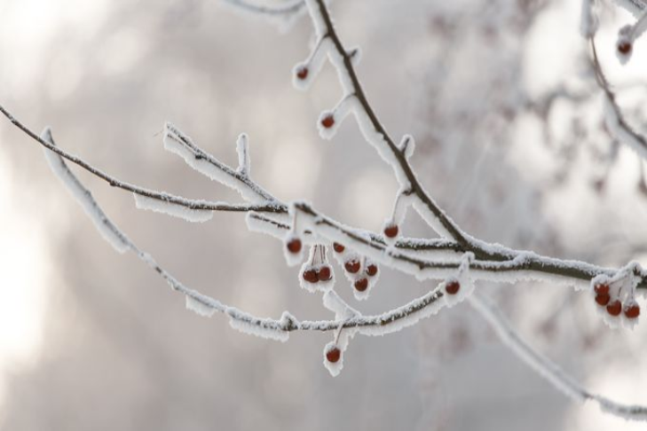    Фото из архива VN.ru