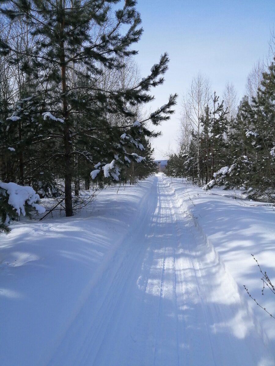 Зима. Фото автора