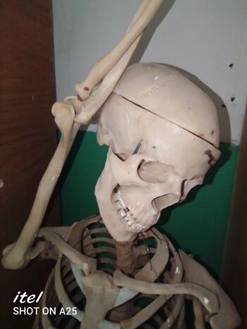 РАЗМЫШЛЕНИЯ КОСТИКА