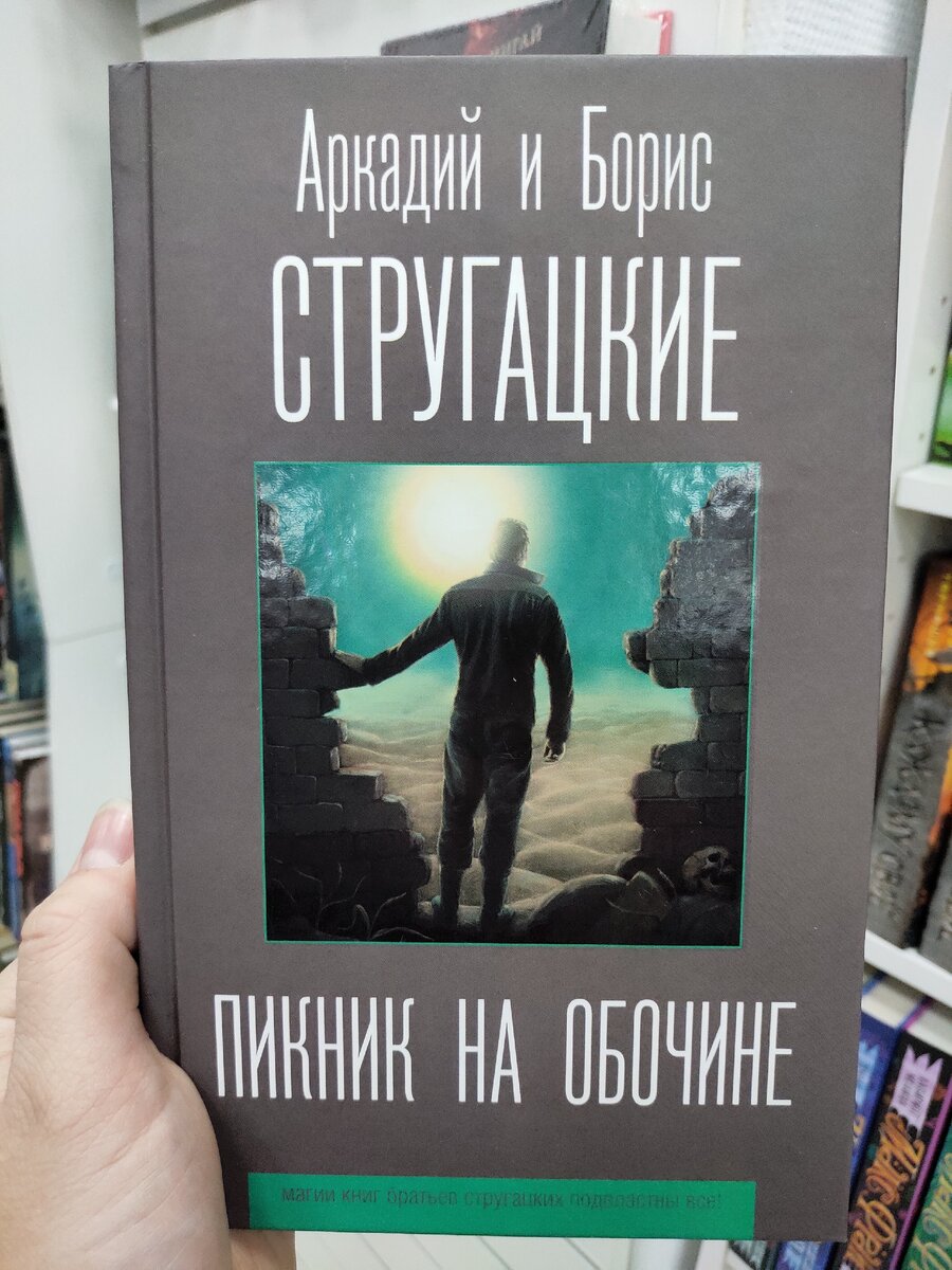 Обложка книги "Пикник на обочине" Аркадий и Борис Стругацкие