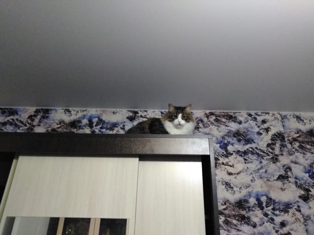 Куда это ты там собрался? Иди лучше меня корми)