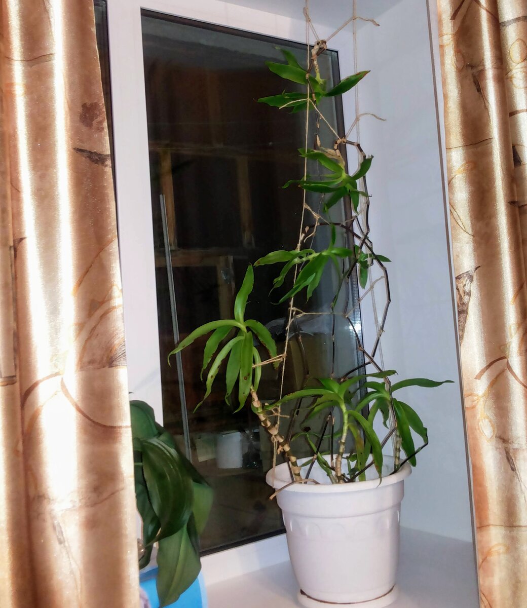 Фото автора.