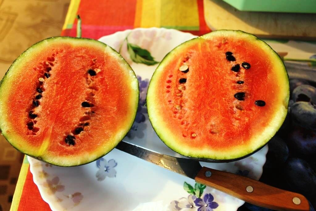 Арбузы солнце. Арбуз с желтой кожурой. Солнечный подарок арбуз. Арбуз подарок солнца бессемянный. Арбузы солнце.