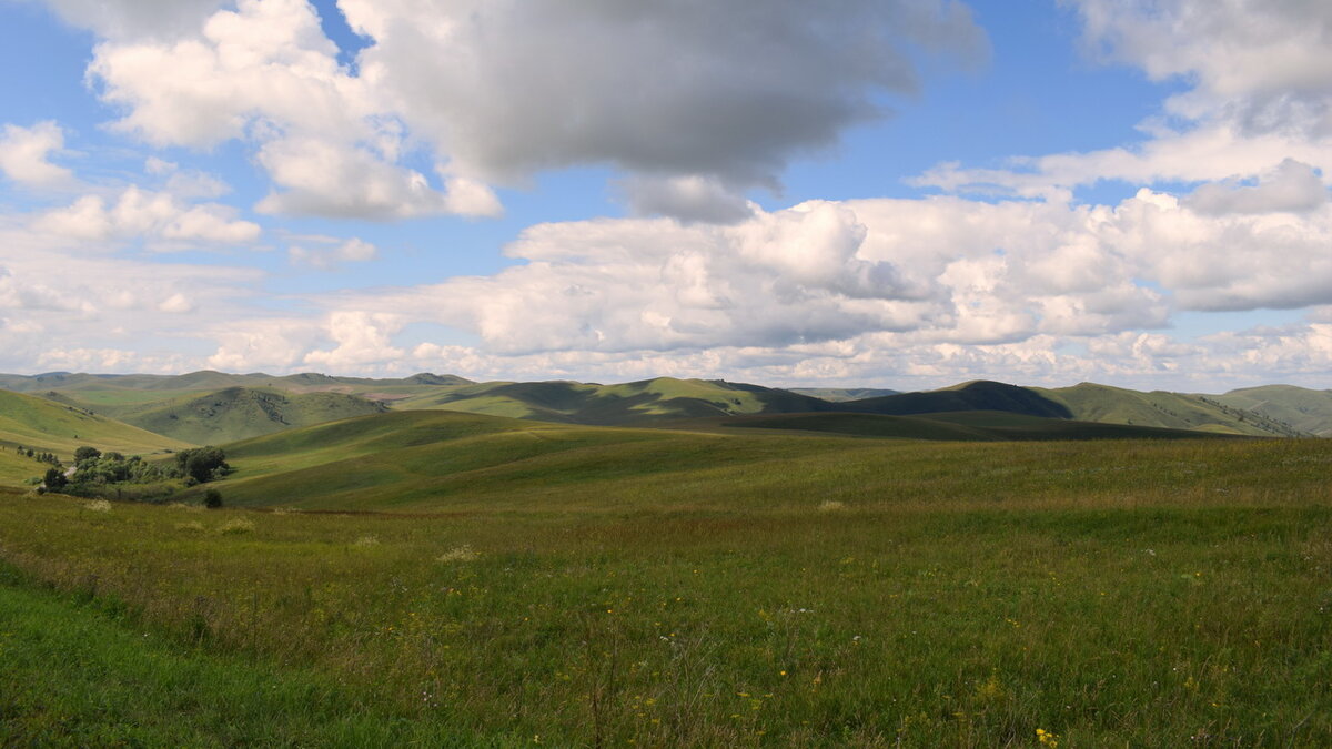 Холмы в предгорье