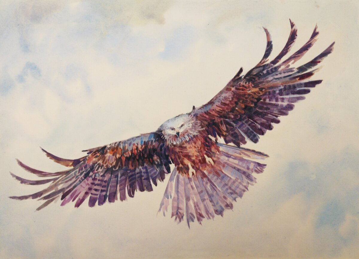 Сергей Галета. Полёт орла. бумага. акварель. 30х40 см.
