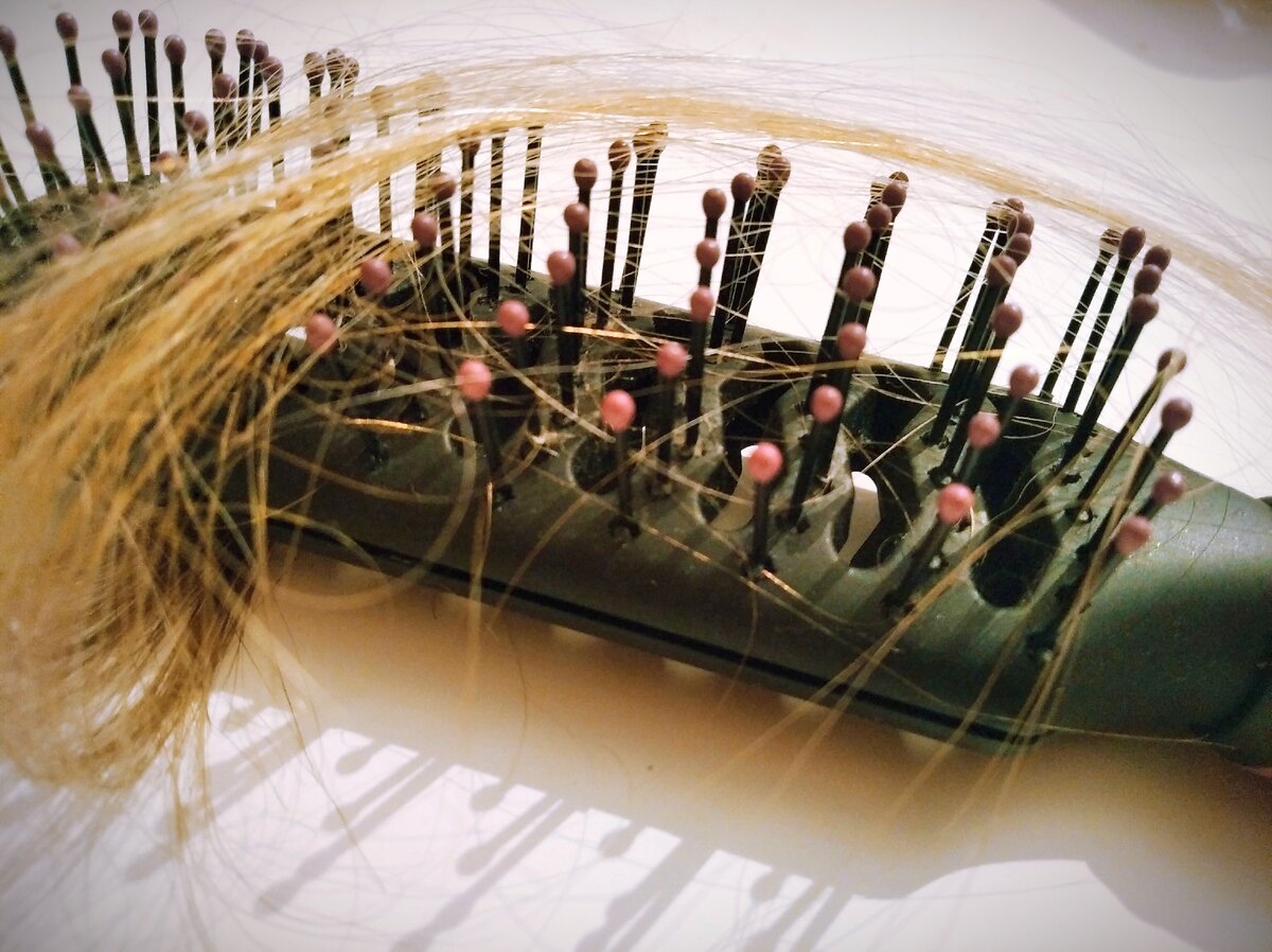 фото сделано мною