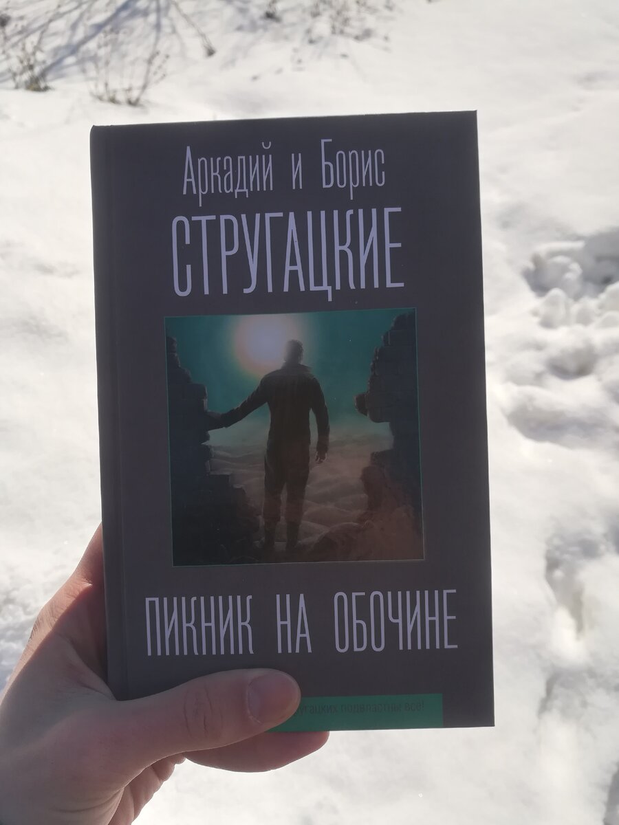 Пикник на обочине. Книга которую стоит прочитать. | Ilya Pleshakov | Дзен