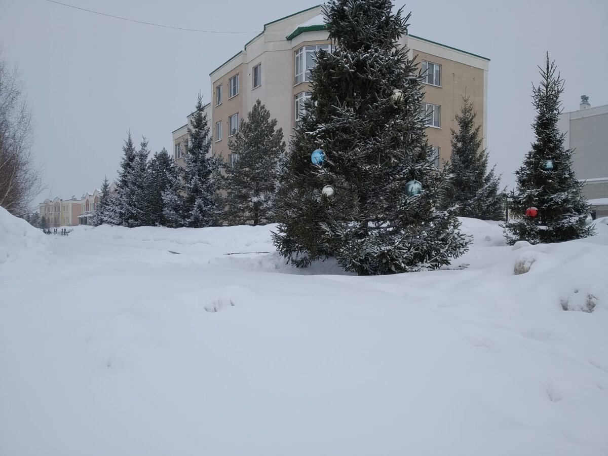 Полюбуйтесь, какая красота!