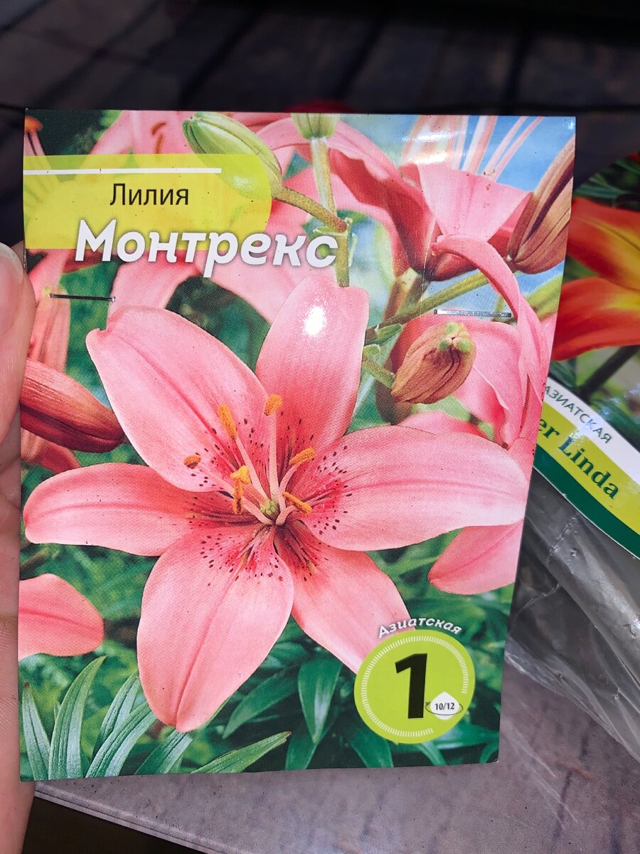 Лилия Монтрекс.