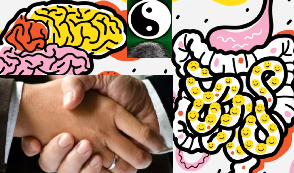 Мозг и кишечник схожи и ответственностью за здоровье всего организма
