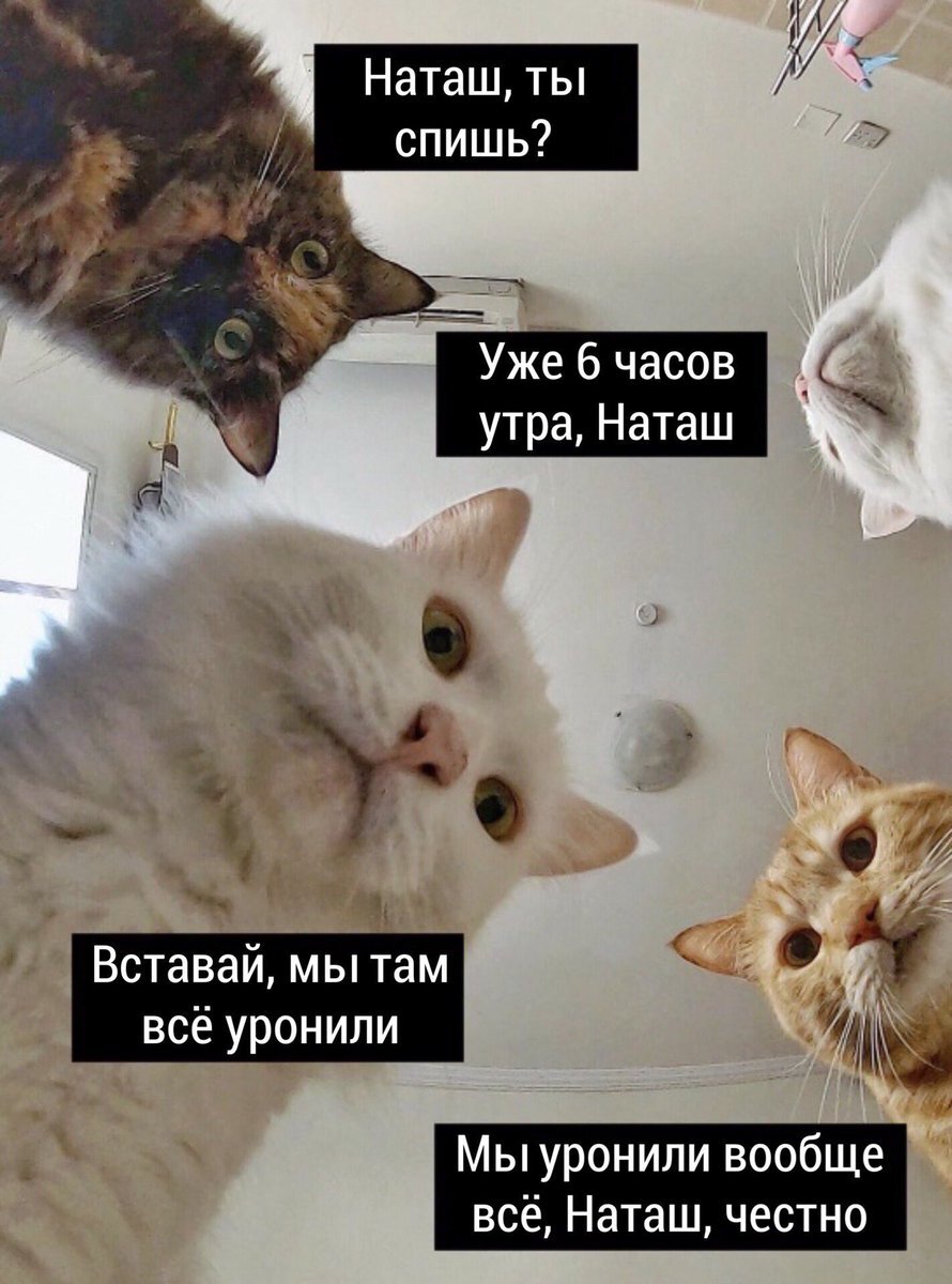 Тот самый прецедент. Фотои из интернета, денег авторше не дадим!