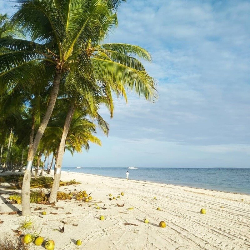 Фото https://www.instagram.com/p/CM5-ITvMr2q/