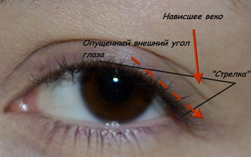 Стрелки «Кошачий глаз»: особенности и правила нанесения макияжа