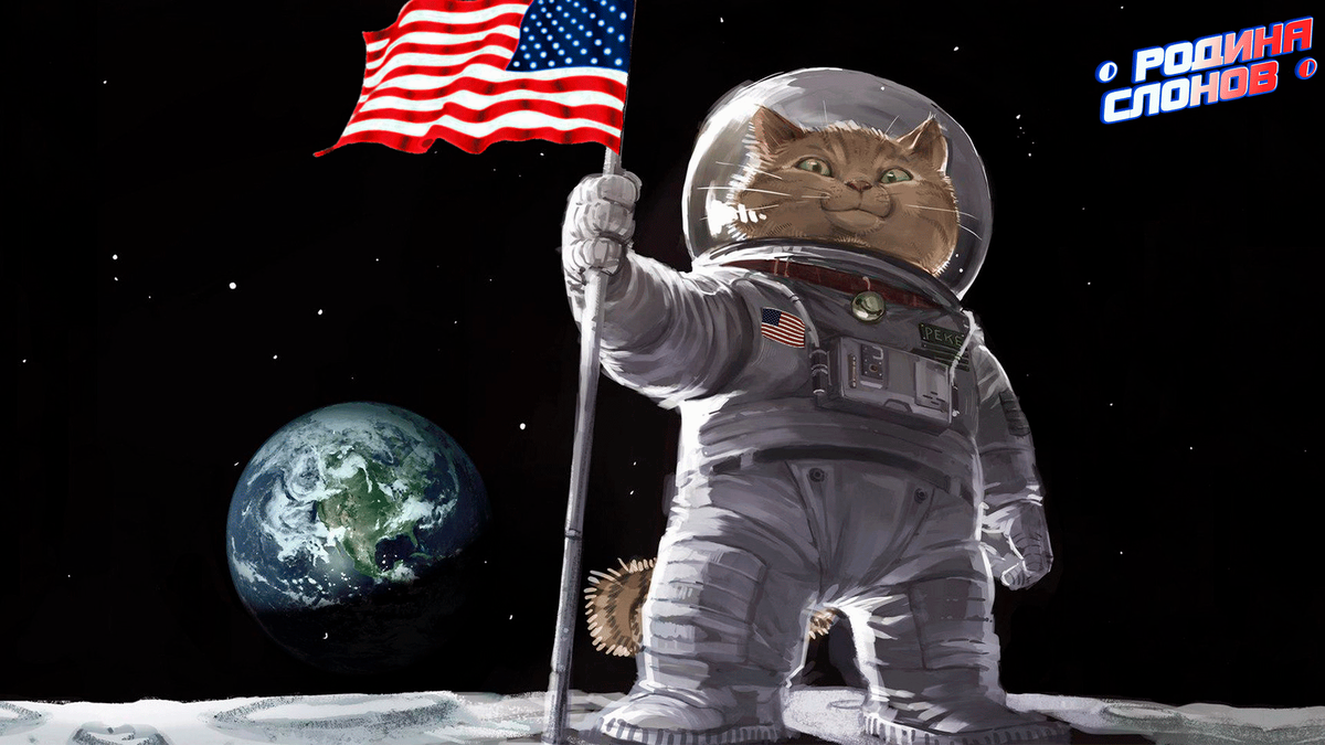 Какое животное облетело луну. Кот космонавт. День космонавтики картинки. Кот с скафандре анимация. Кот с пулеметом.