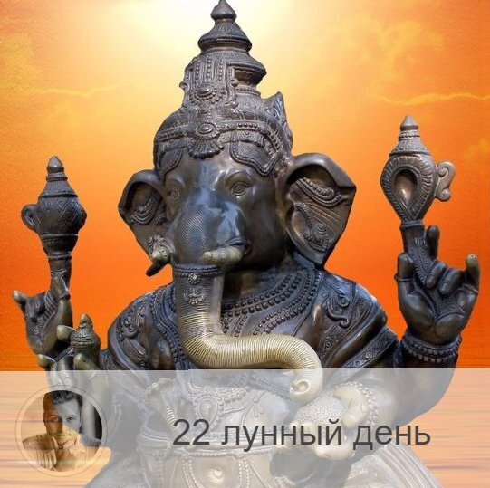 Подписывайтесь на наш канал, друзья!
22-ой лунный день с 03:19 4-ого по 04:10 5-ого. 🐘 Символ дня – слон.
🌞 День мудрости, получения тайного знания и его использования, достижения целей, изучения любых наук. Энергетика этого дня усиливает умственные способности. Очень хорошо усваиваются новые знания. В этот день приходит мудрость. В этот день можно узнавать будущее, только не с помощью карт. Хорошо медитировать, быть альтруистом, отдавать знания, проявлять щедрость. Полезно много есть, нагружать желудок.
💊 Обратите внимание на позвоночник, крестец и таз. Нельзя делать резких движений.
🎂 Люди, рождённые в этот день, либо хранители мудрости и традиций, либо махровые консерваторы.
💍 Камень – яшма, сапфир, агат.
📿 Практика дня: медитации.
💤 Сны сегодняшнего дня также несут новые знания и информацию, обратите на них внимание, так как они могут помочь решить насущные проблемы.

—————

Лучшие публикации от лучшего астролога-нумеролога VK, выбирай «•••» в меню сверху ↗ «Уведомлять о новых записях» ✔