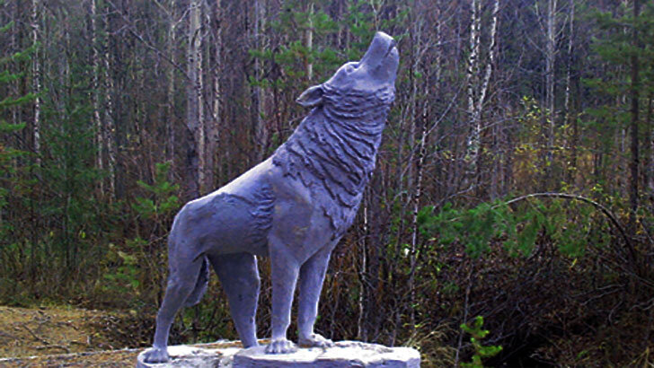 Наше поведение и отношение к природе, очень часто бывает просто варварским. Мы не задумываемся о том, что не одни живем на этой планете. Нам кажется, что мы имеем право вести себя так, как заблагорассудится и при этом принимаем облик хуже диких зверей. А ведь существуют правила, которые каждый должен соблюдать.  