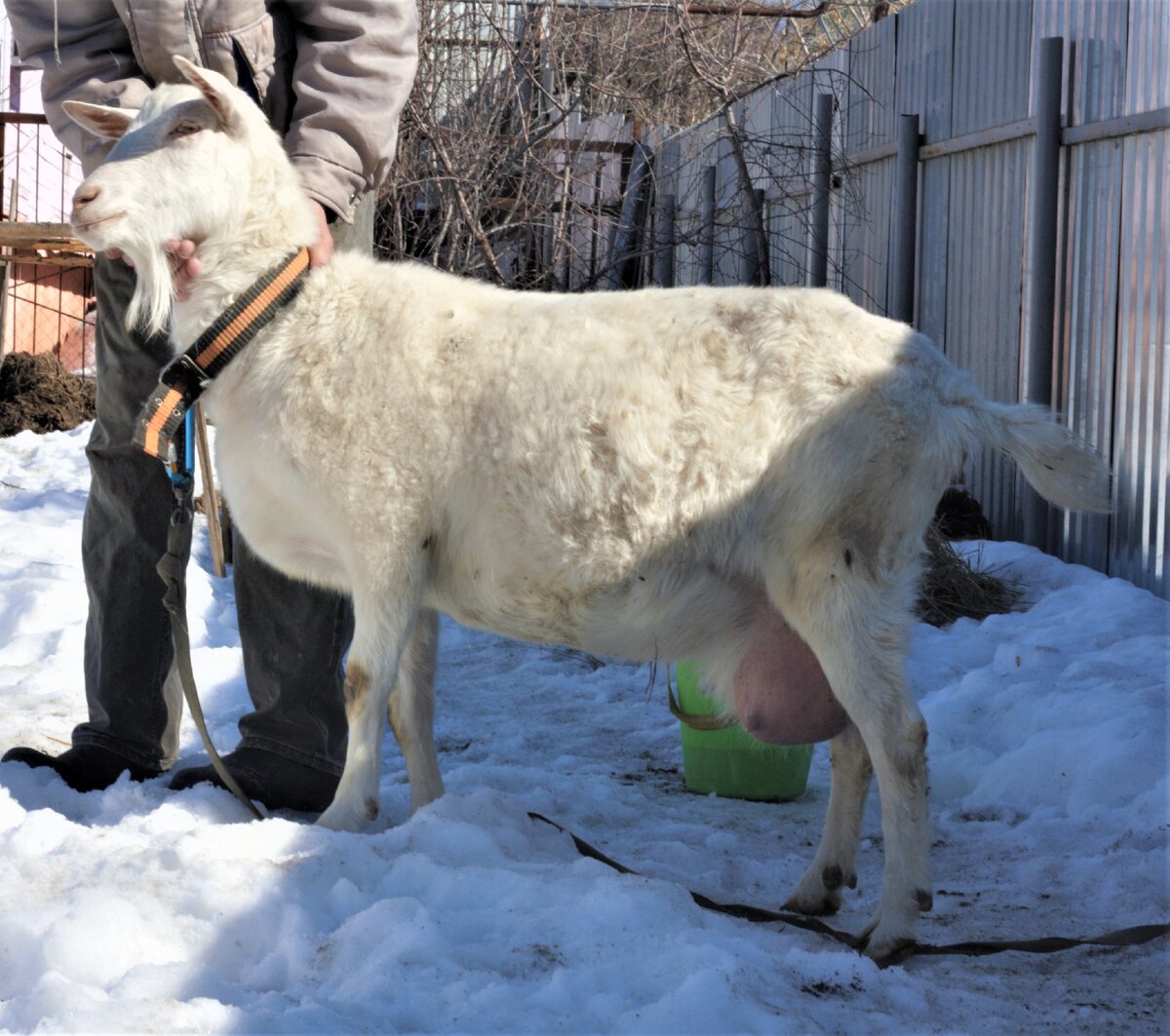 Фото из личных архивов
