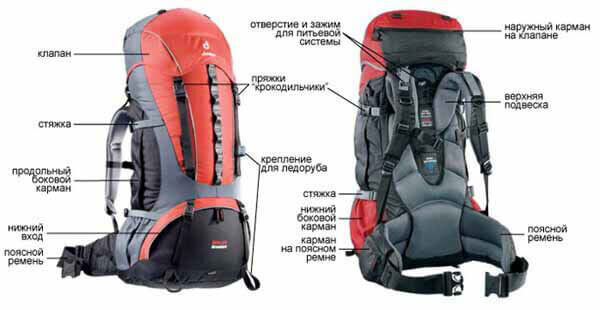 фото из сети Интернет