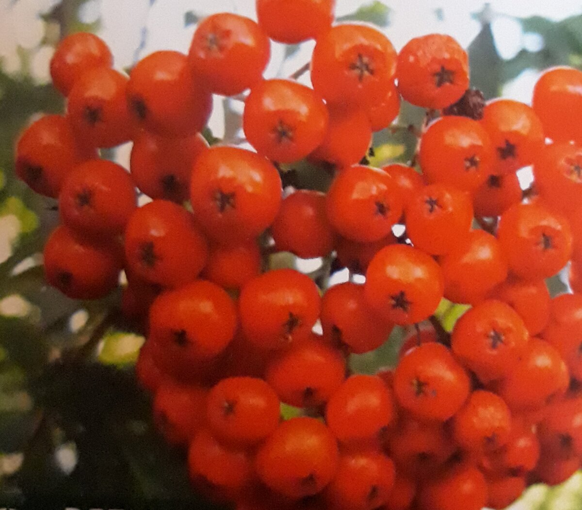 Красота и здоровье.